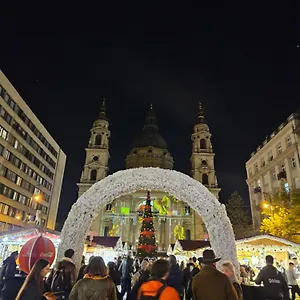Danube Bridge , Budapesta Ungaria